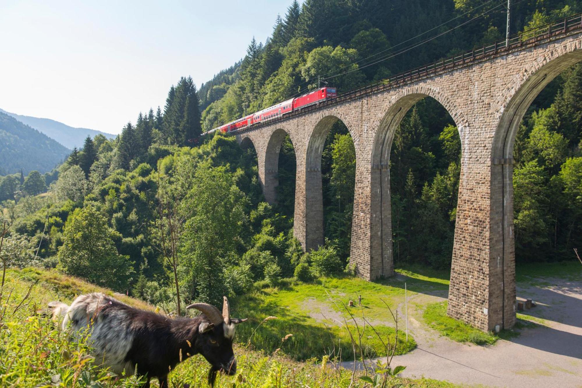 Haus Findling, 10 Personen, Schluchsee, Hochschwarzwaldkarte Bagian luar foto