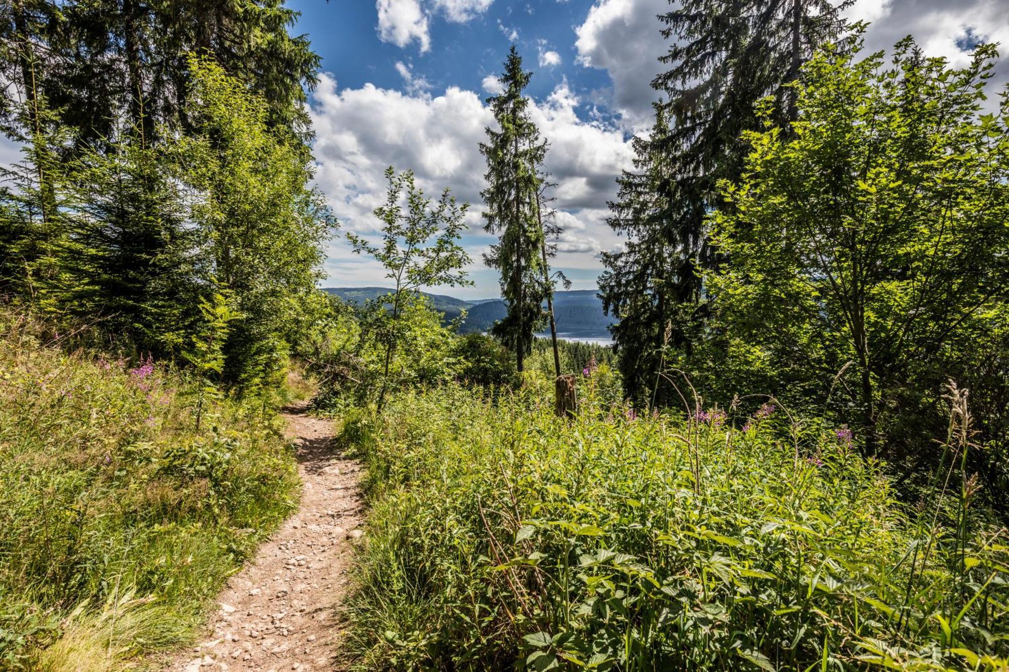 Haus Findling, 10 Personen, Schluchsee, Hochschwarzwaldkarte Bagian luar foto